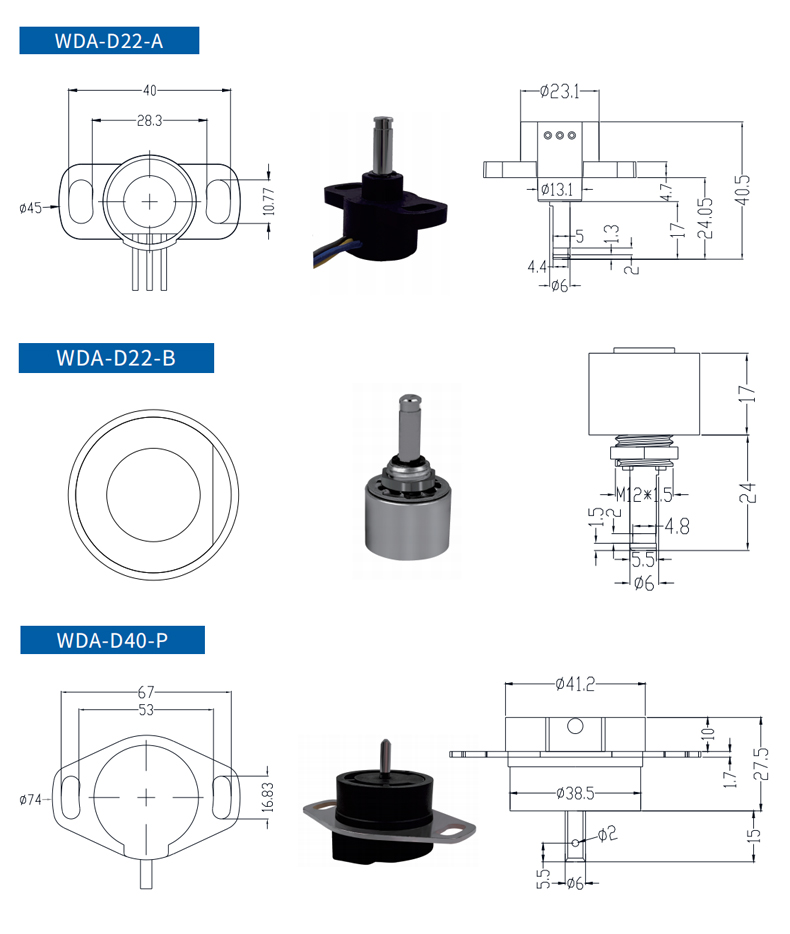 WDA-D22-Achicun.jpg